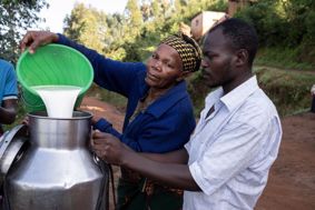 Man and woman pouring milk into a churn