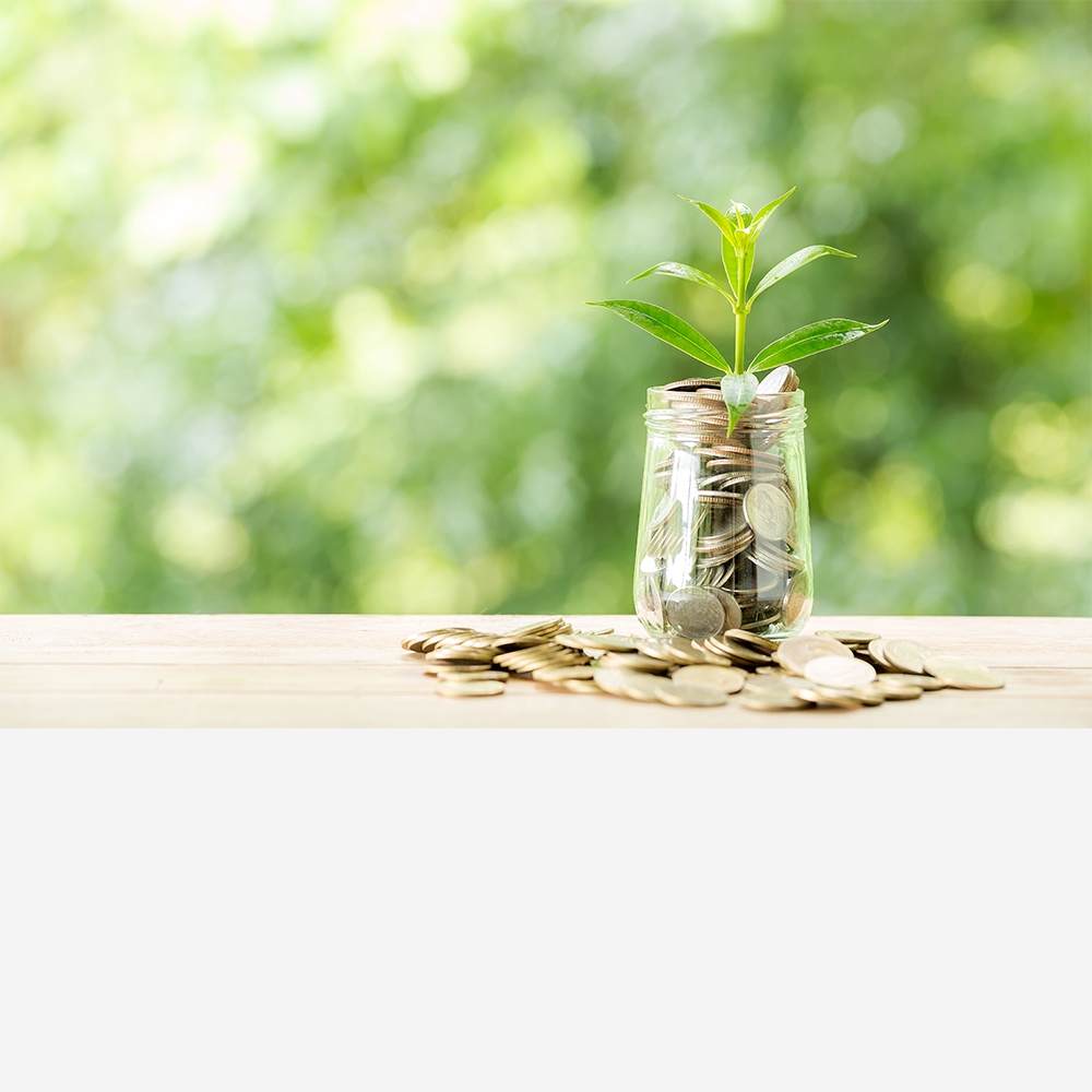 Jar filled with coins and a green plant shoot growing out the top with coins surround the jar on a light coloured surface.