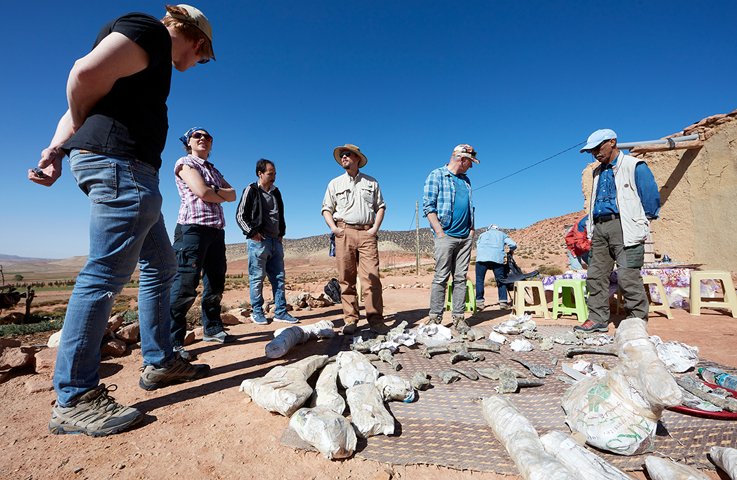 Professor Richard Butler and colleagues inspect fossils in Morocco
