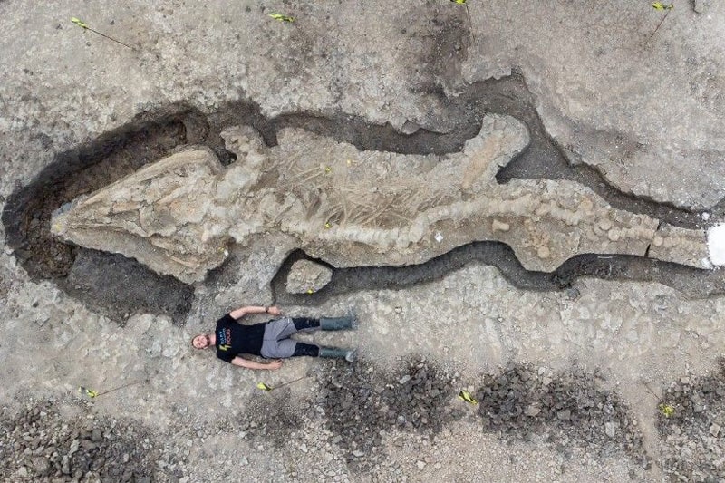 Excavation leader Dean Lomax (University of Manchester) lying alongside the excavated Rutland Sea Dragon