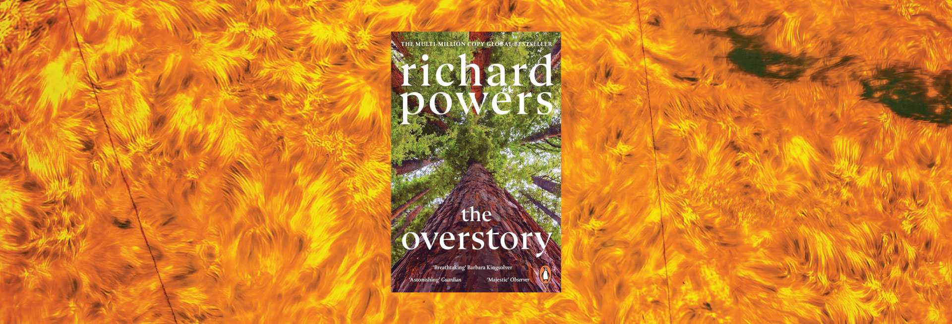 The book cover for The Overstory by Richard Powers sits against the backdrop of the surface of the Sun.