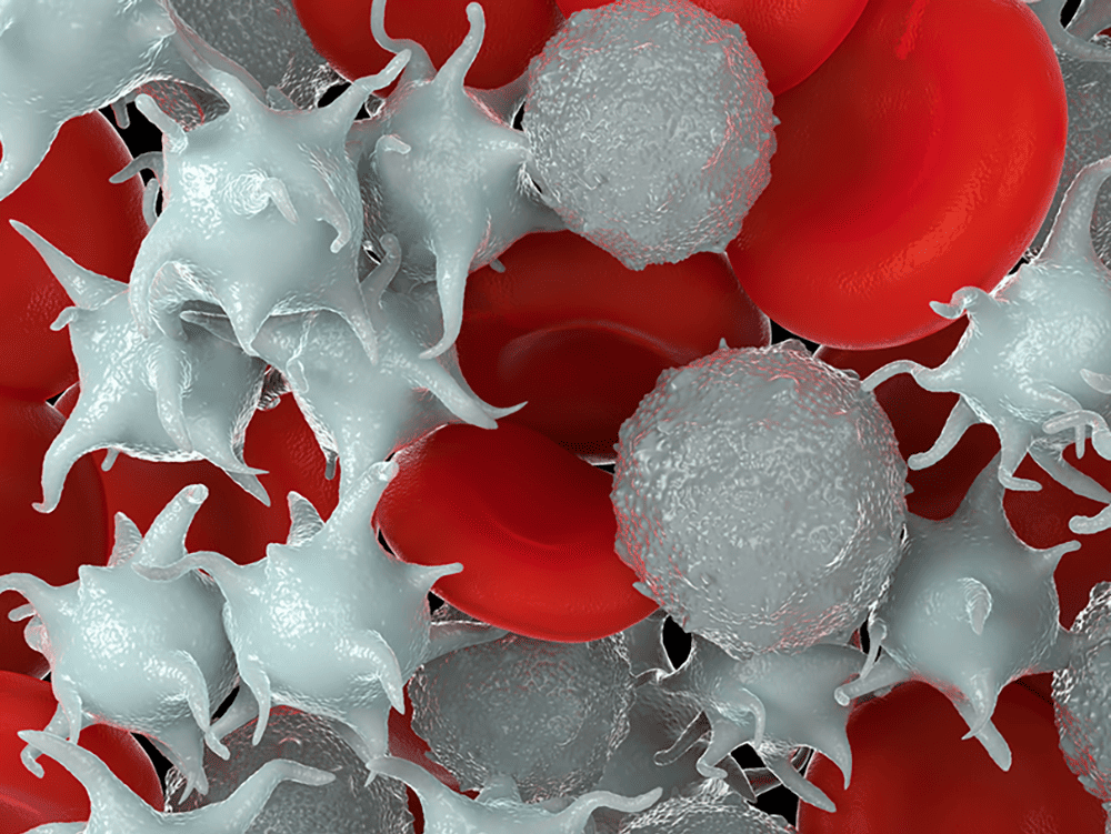 3D rendered image of red blood cells and activated platelet and white blood cells viewed through a microscope.