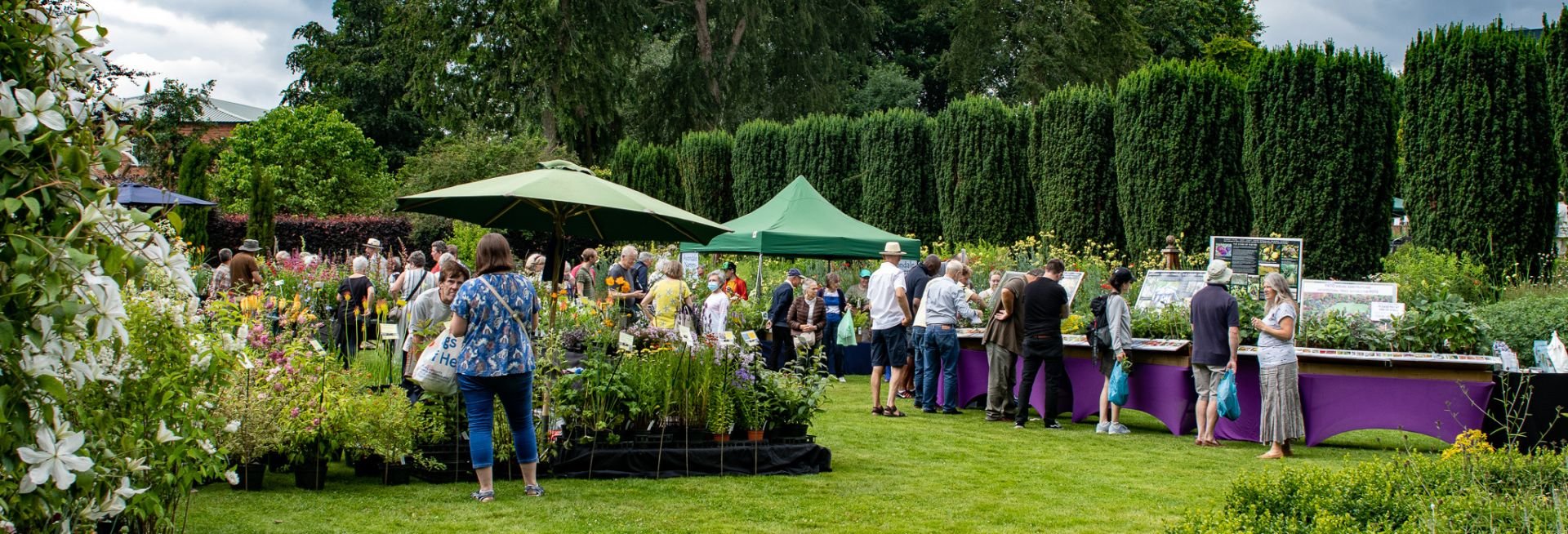 People browsing stalls which are selling a wide variety of plants, set in a large garden