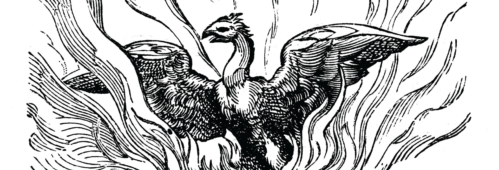 A dark line drawing of a phoenix rising from some flames.