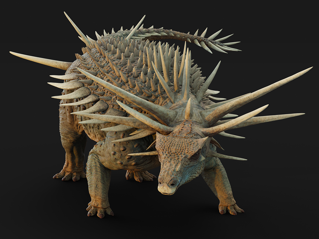 An artist's impression of the Spicomellus dinosaur