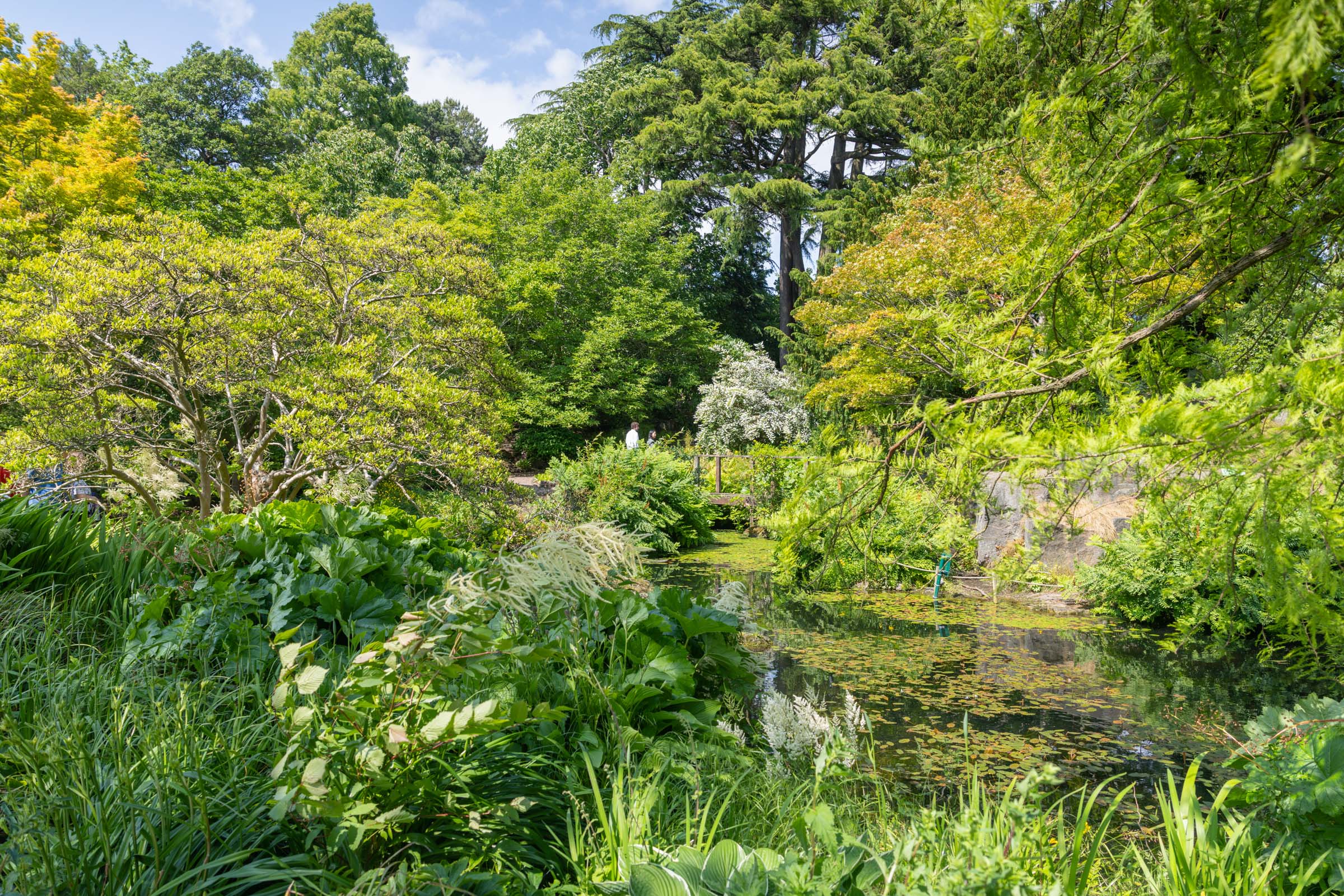 Botanical Gardens