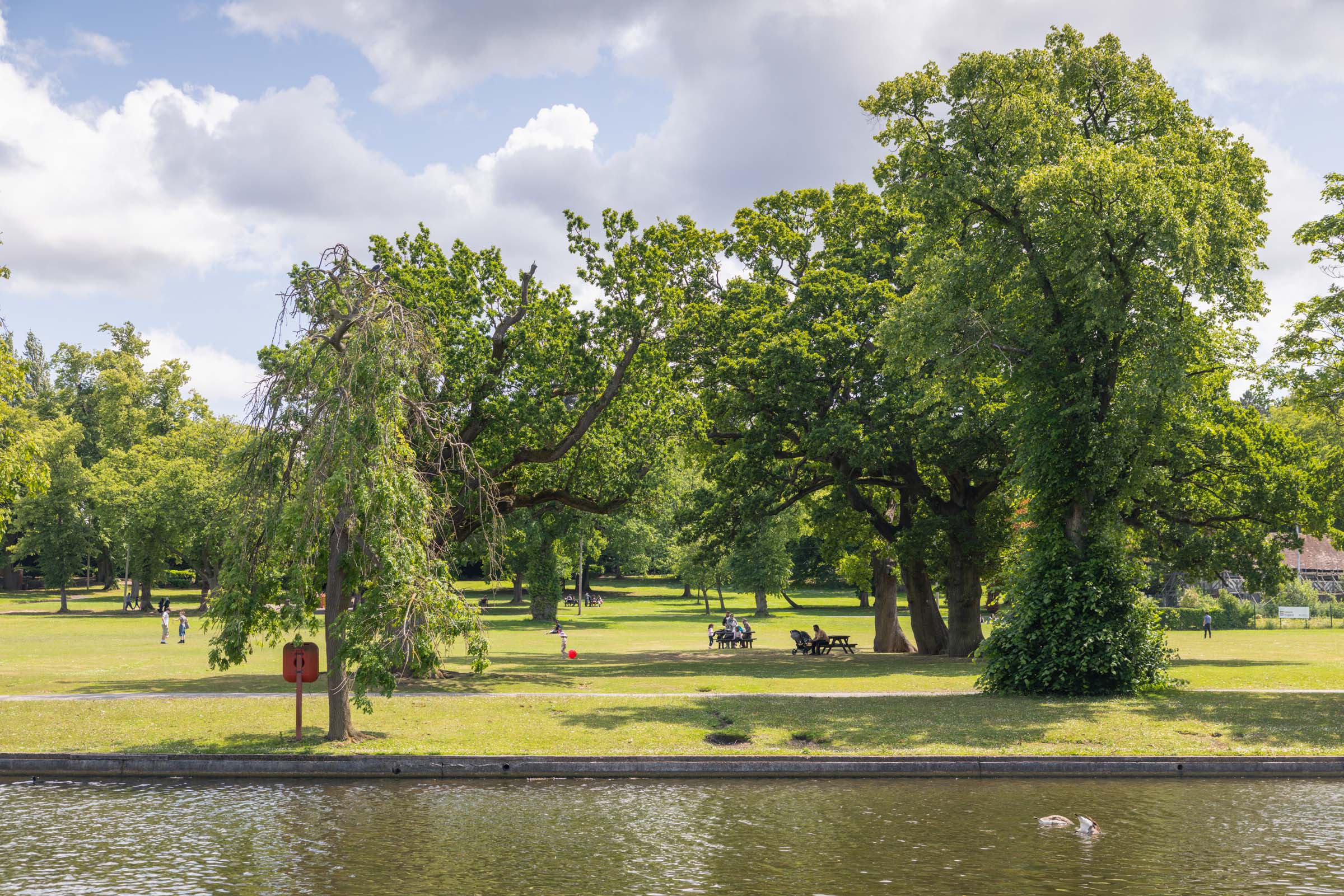 Cannon Hill Lakes and green trees