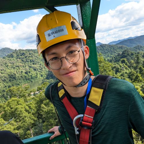person wearing glasses and hardhat above forest canopy