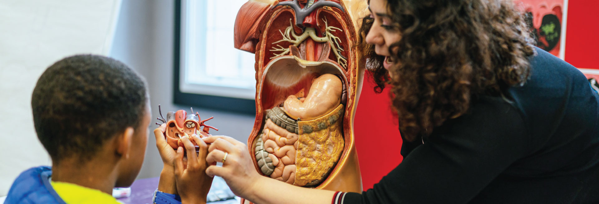 A University researcher gestures to an anatomical model while speaking to a child.