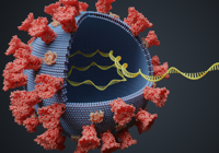 digital image of dna inside a virus