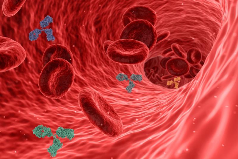 viral cells in bloodstream